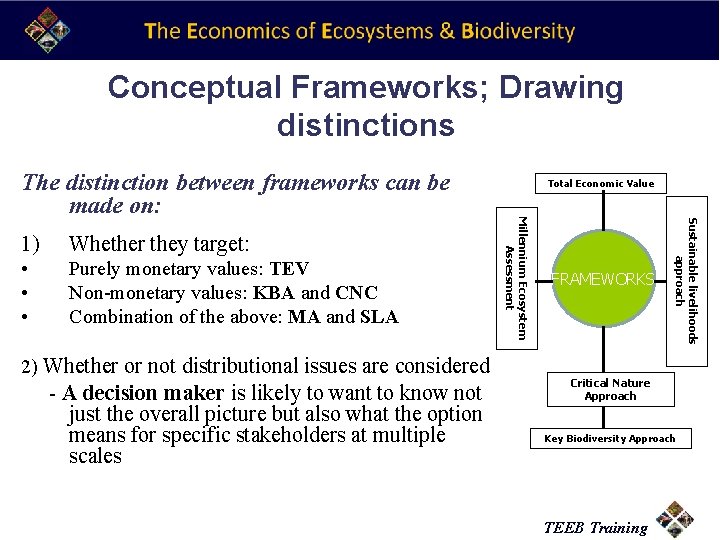 Conceptual Frameworks; Drawing distinctions Whether they target: • • • Purely monetary values: TEV