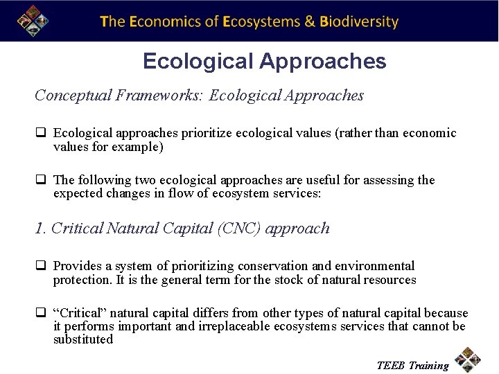 Ecological Approaches Conceptual Frameworks: Ecological Approaches q Ecological approaches prioritize ecological values (rather than