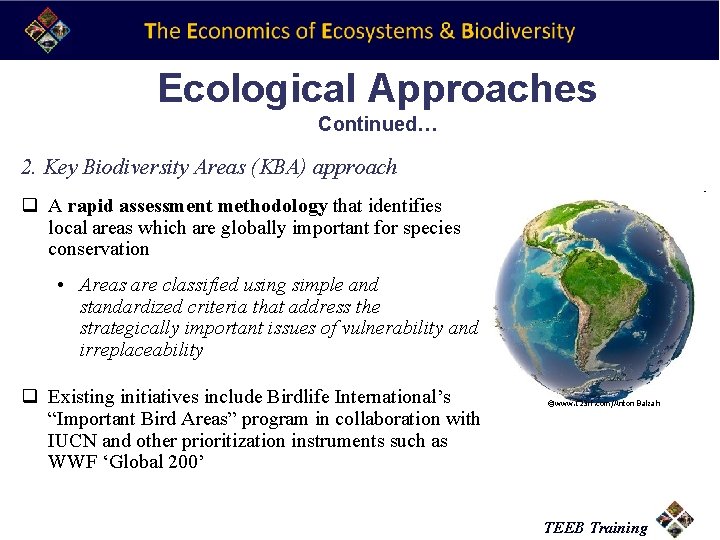 Ecological Approaches Continued… 2. Key Biodiversity Areas (KBA) approach q A rapid assessment methodology