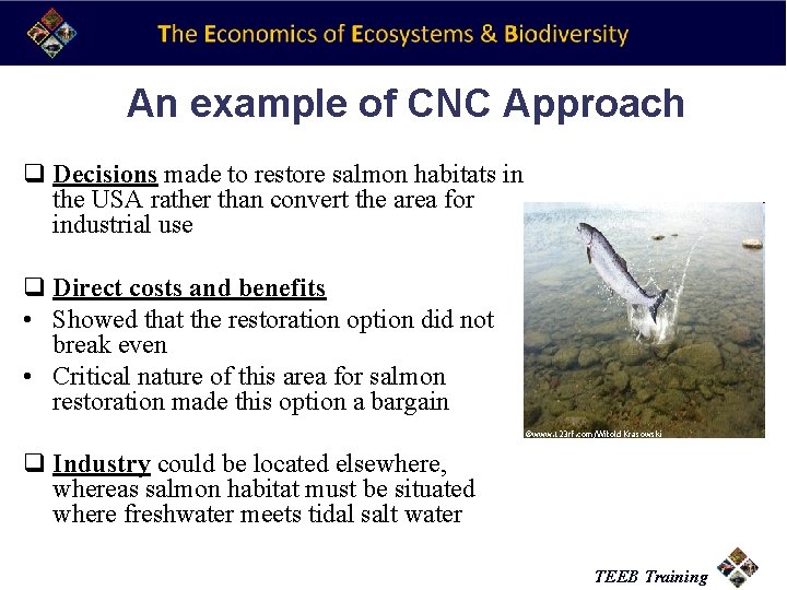 An example of CNC Approach q Decisions made to restore salmon habitats in the