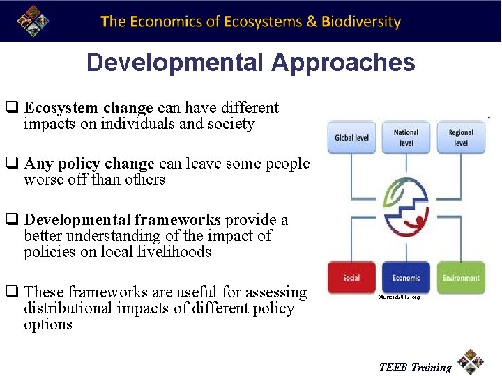 Developmental Approaches q Ecosystem change can have different impacts on individuals and society q