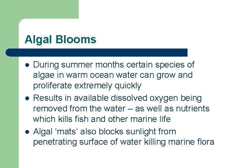 Algal Blooms l l l During summer months certain species of algae in warm