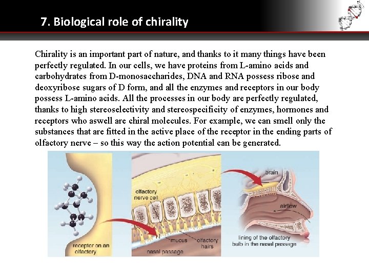 7. Biological role of chirality Chirality is an important part of nature, and thanks