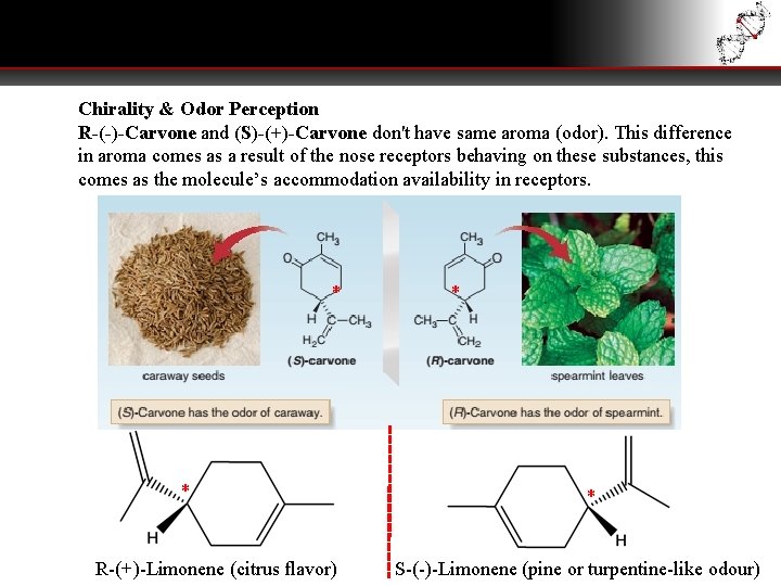 Chirality & Odor Perception R-(-)-Carvone and (S)-(+)-Carvone don't have same aroma (odor). This difference