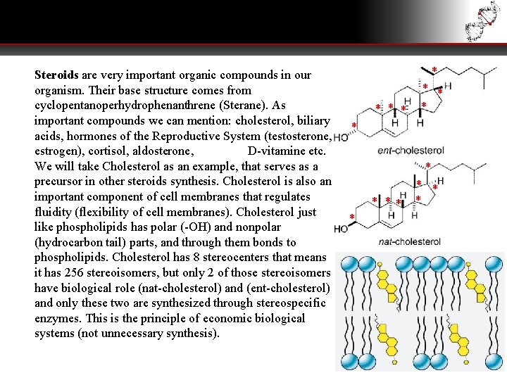 Steroids are very important organic compounds in our organism. Their base structure comes from