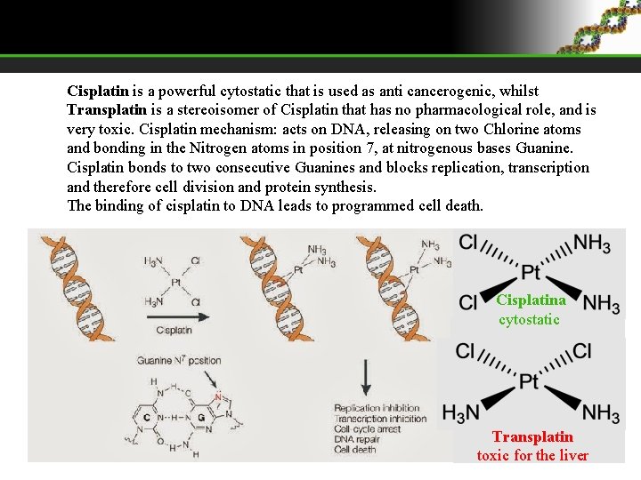 Cisplatin is a powerful cytostatic that is used as anti cancerogenic, whilst Transplatin is