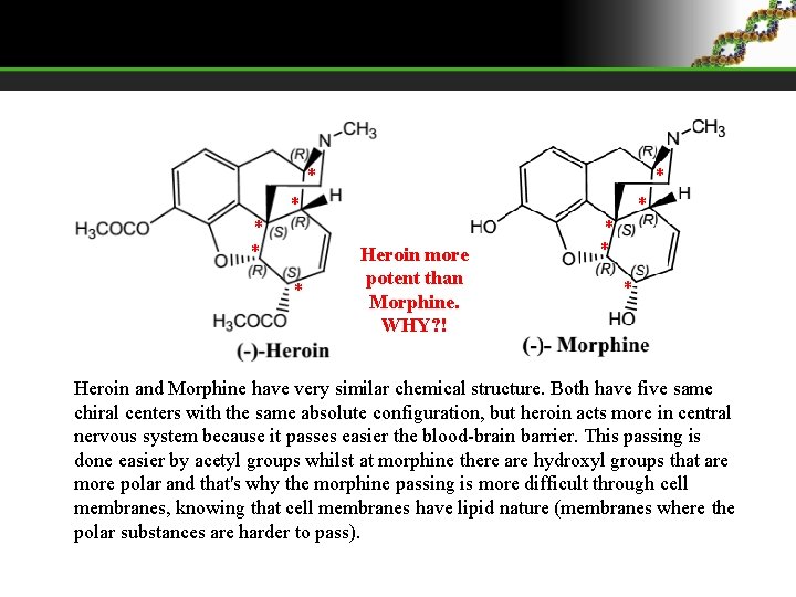 * * * Heroin more potent than Morphine. WHY? ! * * Heroin and