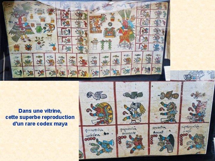 Dans une vitrine, cette superbe reproduction d'un rare codex maya 