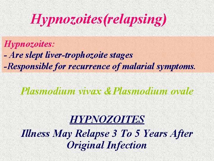 Hypnozoites(relapsing) Hypnozoites: - Are slept liver-trophozoite stages -Responsible for recurrence of malarial symptoms. Plasmodium