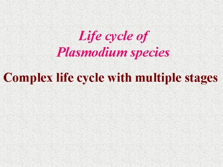 Life cycle of Plasmodium species Complex life cycle with multiple stages 