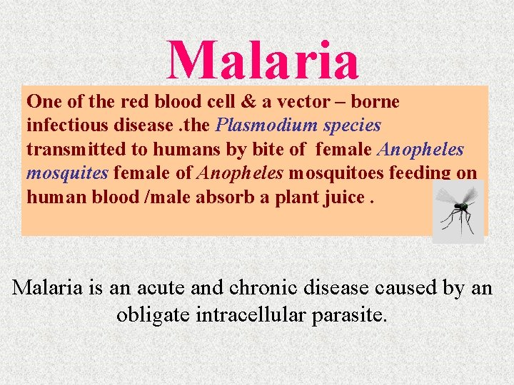 Malaria One of the red blood cell & a vector – borne infectious disease.