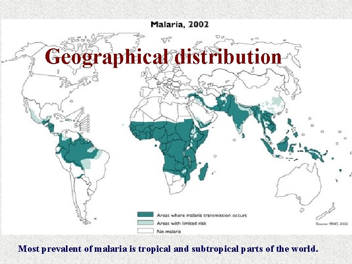 Geographical distribution Most prevalent of malaria is tropical and subtropical parts of the world.