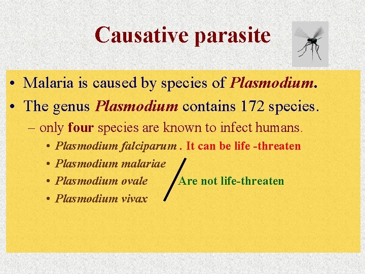 Causative parasite • Malaria is caused by species of Plasmodium. • The genus Plasmodium