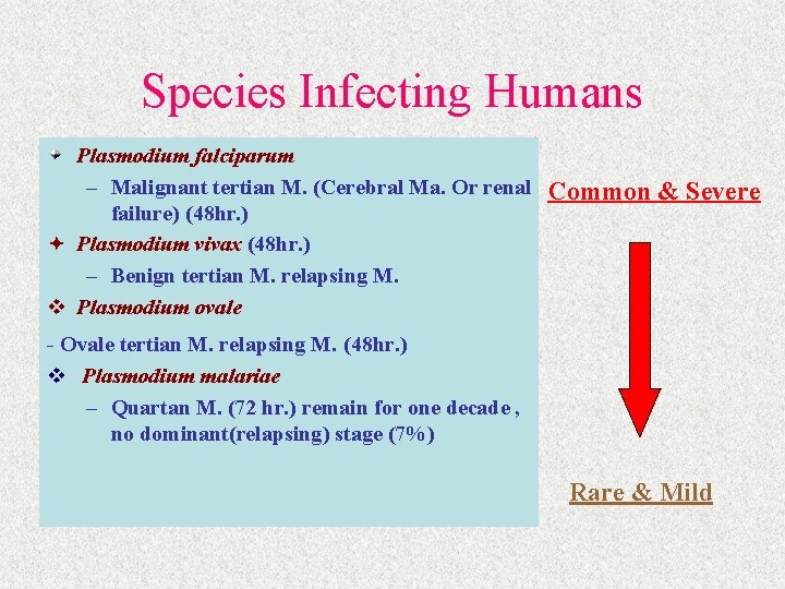 Species Infecting Humans Plasmodium falciparum – Malignant tertian M. (Cerebral Ma. Or renal failure)