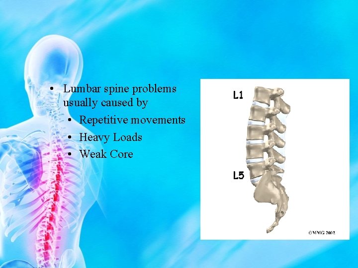  • Lumbar spine problems usually caused by • Repetitive movements • Heavy Loads