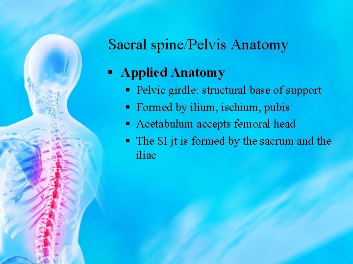 Sacral spine/Pelvis Anatomy § Applied Anatomy § § Pelvic girdle: structural base of support