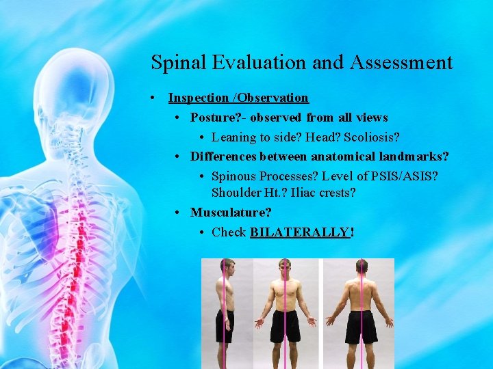 Spinal Evaluation and Assessment • Inspection /Observation • Posture? - observed from all views