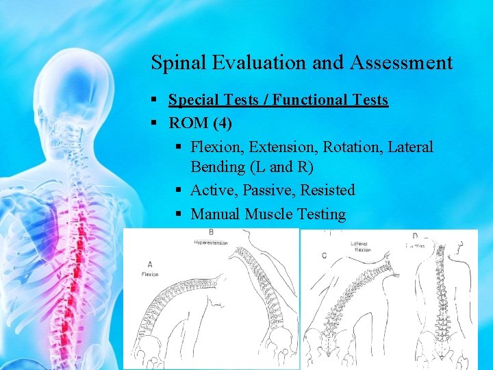 Spinal Evaluation and Assessment § Special Tests / Functional Tests § ROM (4) §