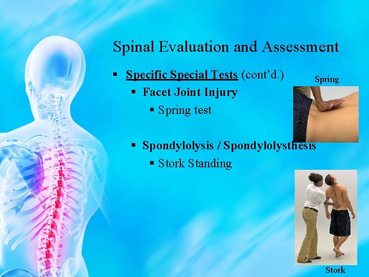 Spinal Evaluation and Assessment § Specific Special Tests (cont’d. ) § Facet Joint Injury