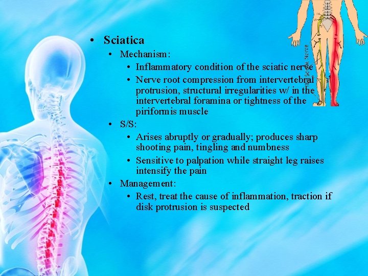  • Sciatica • Mechanism: • Inflammatory condition of the sciatic nerve • Nerve