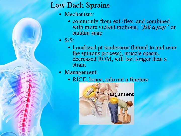 Low Back Sprains • Mechanism: • commonly from ext. /flex. and combined with more