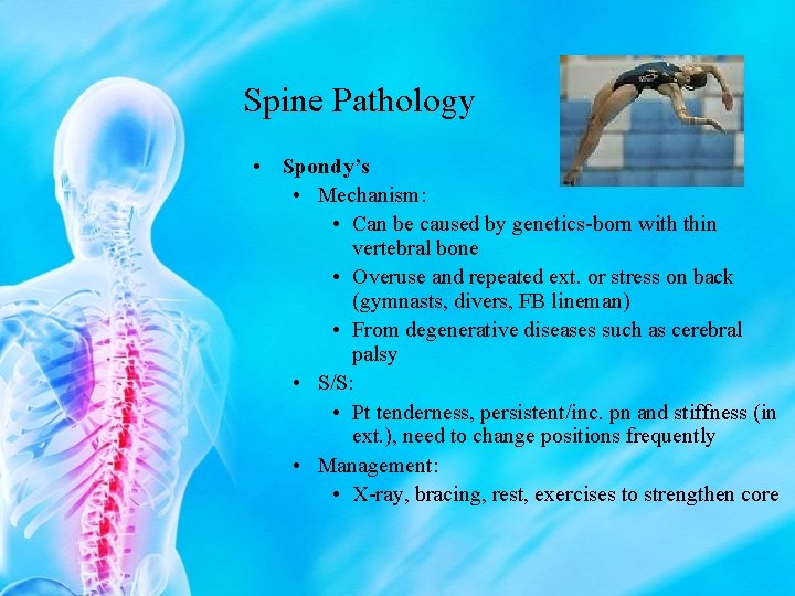 Spine Pathology • Spondy’s • Mechanism: • Can be caused by genetics-born with thin