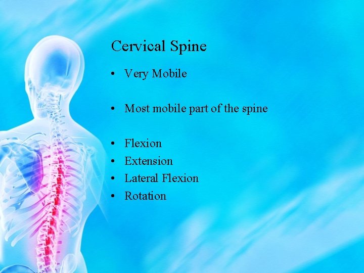 Cervical Spine • Very Mobile • Most mobile part of the spine • •