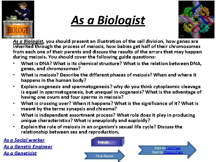 As a Biologist, you should present an illustration of the cell division, how genes