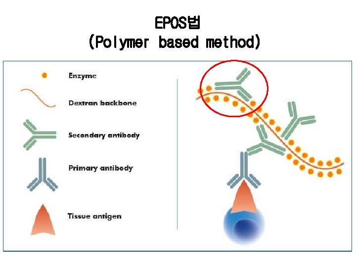 EPOS법 (Polymer based method) 