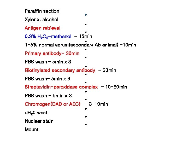 Paraffin section Xylene, alcohol Antigen retrieval 0. 3% H 2 O 2 -methanol -