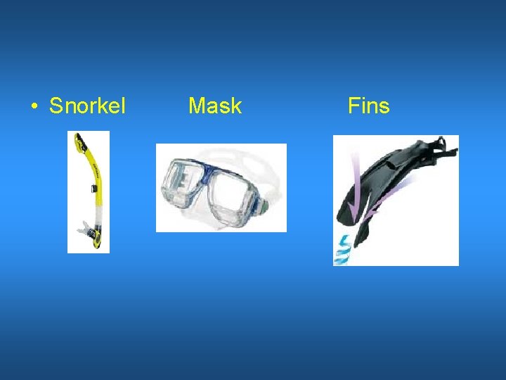  • Snorkel Mask Fins 