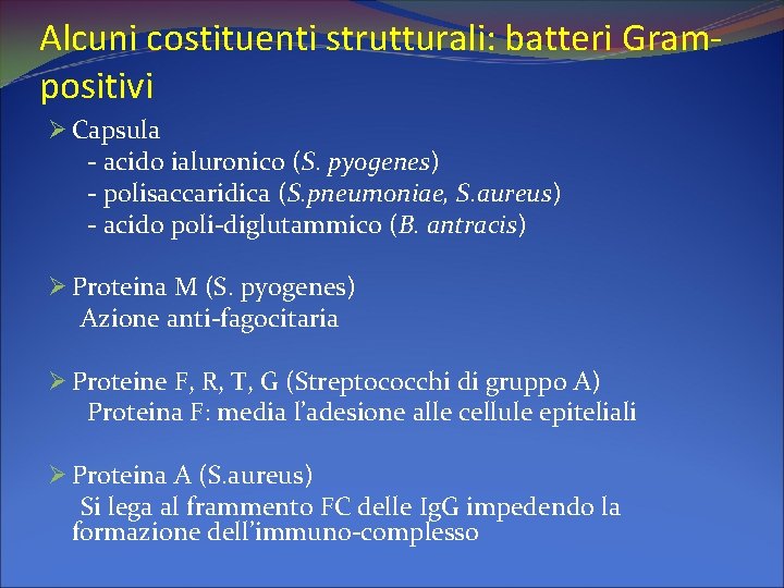 Alcuni costituenti strutturali: batteri Grampositivi Ø Capsula - acido ialuronico (S. pyogenes) - polisaccaridica