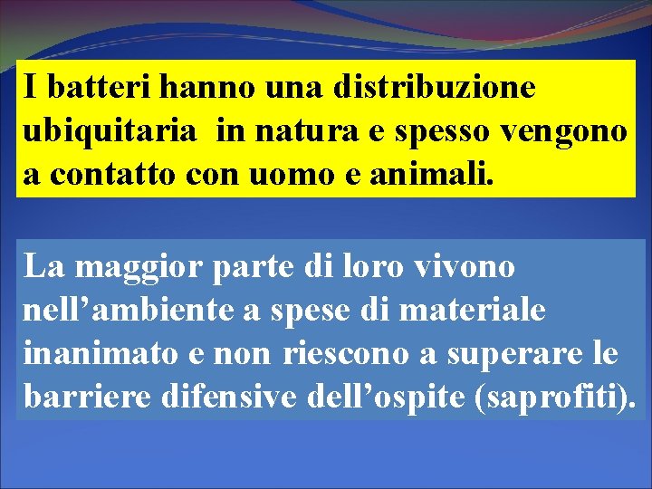 I batteri hanno una distribuzione ubiquitaria in natura e spesso vengono a contatto con