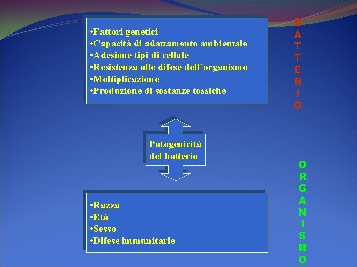  • Fattori genetici • Capacità di adattamento ambientale • Adesione tipi di cellule