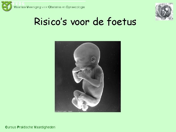 Risico’s voor de foetus Cursus Praktische Vaardigheden 