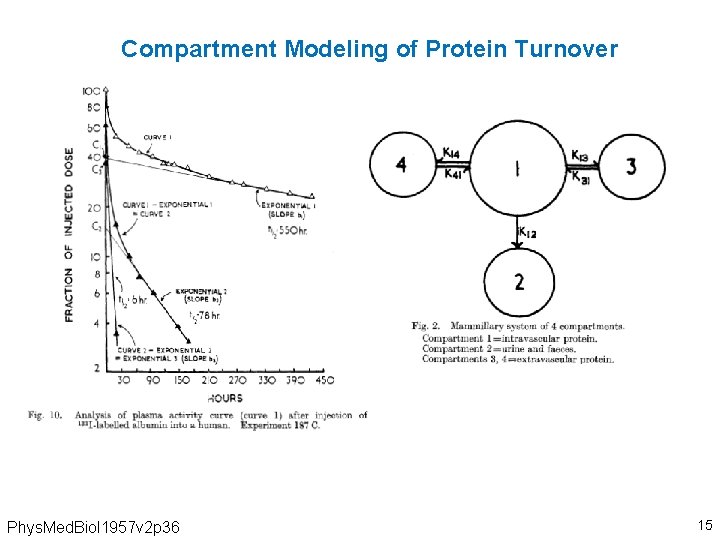 Compartment Modeling of Protein Turnover Phys. Med. Biol 1957 v 2 p 36 15
