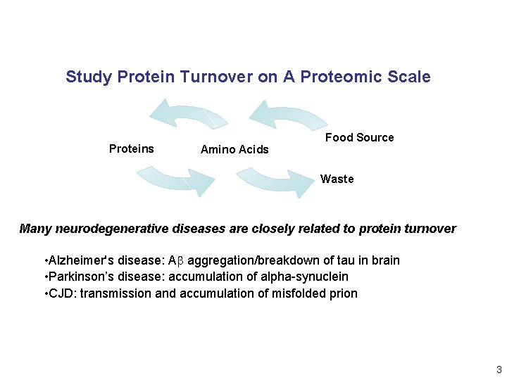 Study Protein Turnover on A Proteomic Scale Proteins Amino Acids Food Source Waste Many