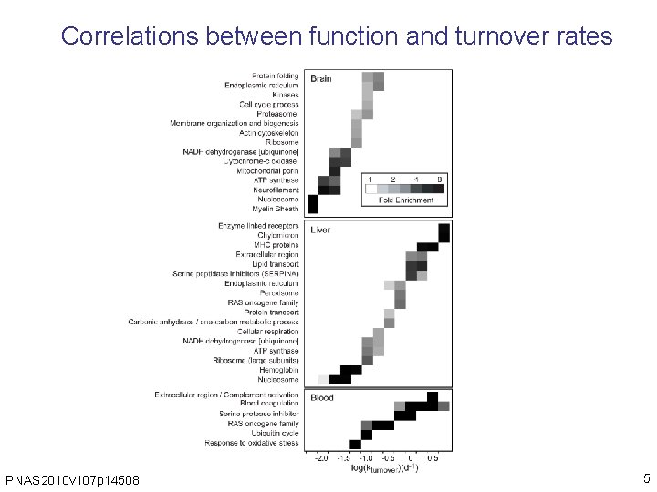 Correlations between function and turnover rates PNAS 2010 v 107 p 14508 5 