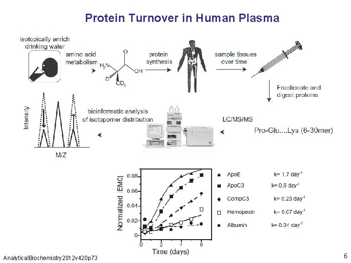 Protein Turnover in Human Plasma Analytical. Biochemistry 2012 v 420 p 73 6 