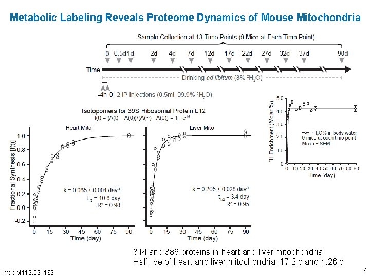 Metabolic Labeling Reveals Proteome Dynamics of Mouse Mitochondria 314 and 386 proteins in heart