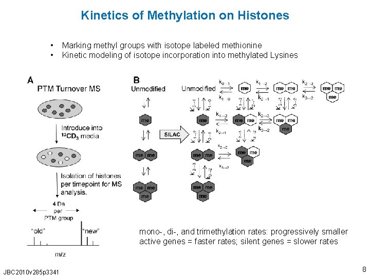 Kinetics of Methylation on Histones • • Marking methyl groups with isotope labeled methionine