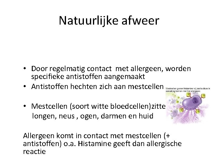 Natuurlijke afweer • Door regelmatig contact met allergeen, worden specifieke antistoffen aangemaakt • Antistoffen