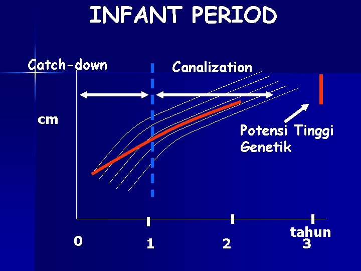 INFANT PERIOD Catch-down Canalization cm Potensi Tinggi Genetik 0 1 2 tahun 3 