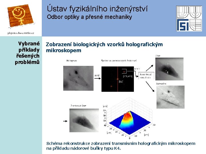 Ústav fyzikálního inženýrství Odbor optiky a přesné mechaniky physics. fme. vutbr. cz Vybrané příklady