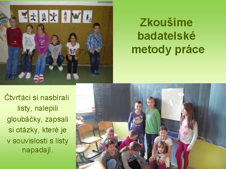 Zkoušíme badatelské metody práce Čtvrťáci si nasbírali listy, nalepili gloubáčky, zapsali si otázky, které