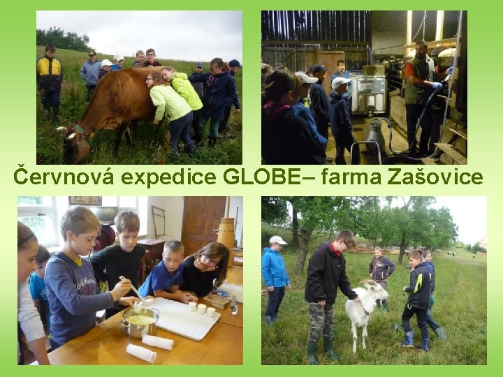 Červnová expedice GLOBE– farma Zašovice 