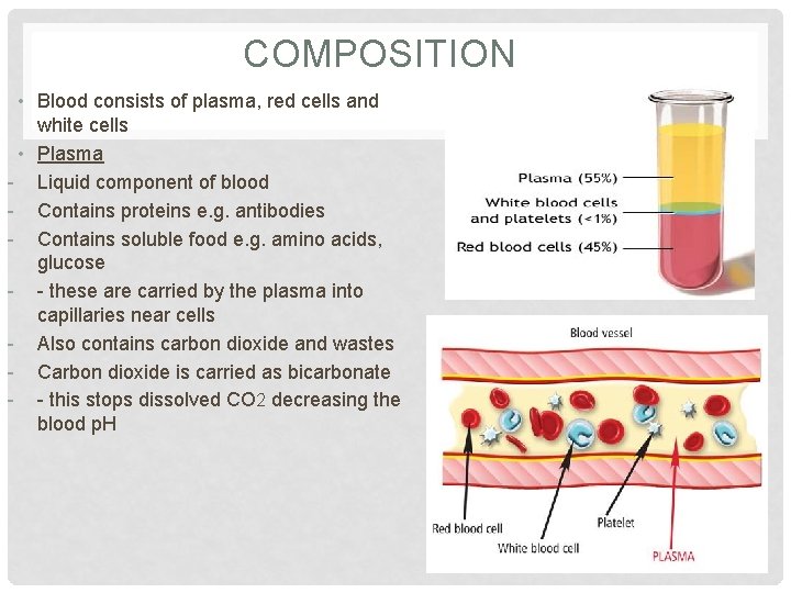 COMPOSITION • Blood consists of plasma, red cells and white cells • Plasma -