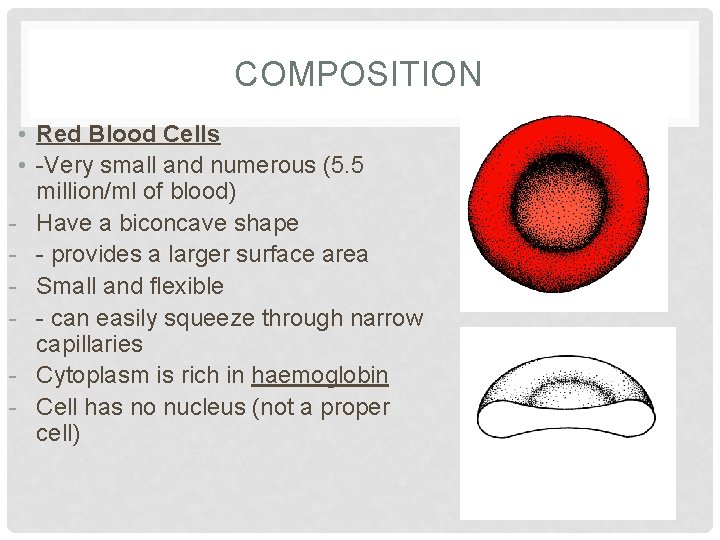 COMPOSITION • Red Blood Cells • -Very small and numerous (5. 5 million/ml of