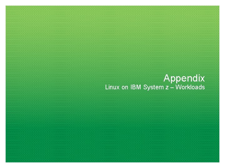 Appendix Linux on IBM System z – Workloads 