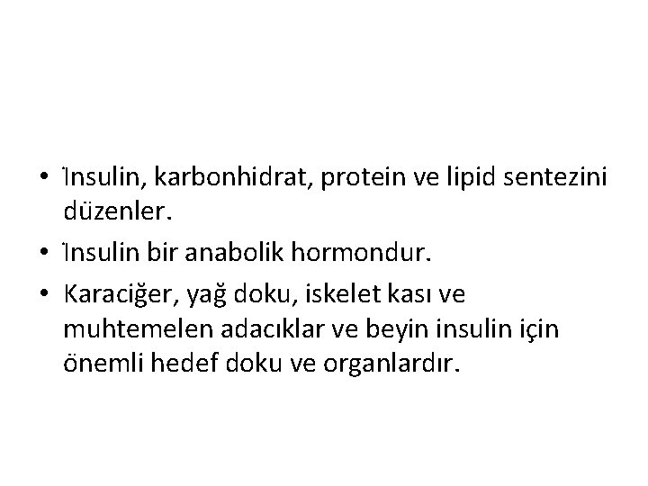  • I nsulin, karbonhidrat, protein ve lipid sentezini du zenler. • I nsulin
